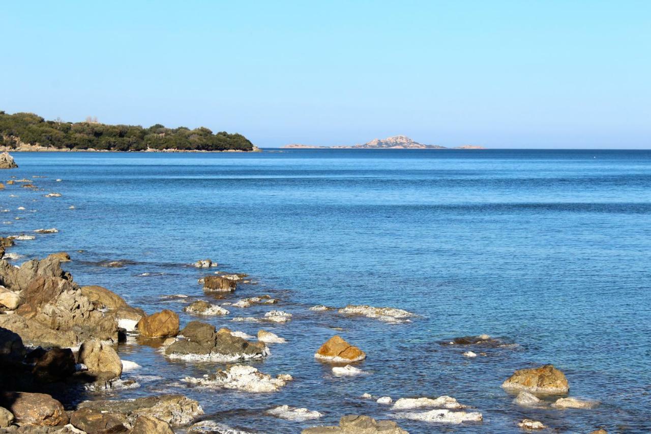 Willa Casa Vacanze Il Cisto - Golfo Di Marinella Porto Rotondo Zewnętrze zdjęcie