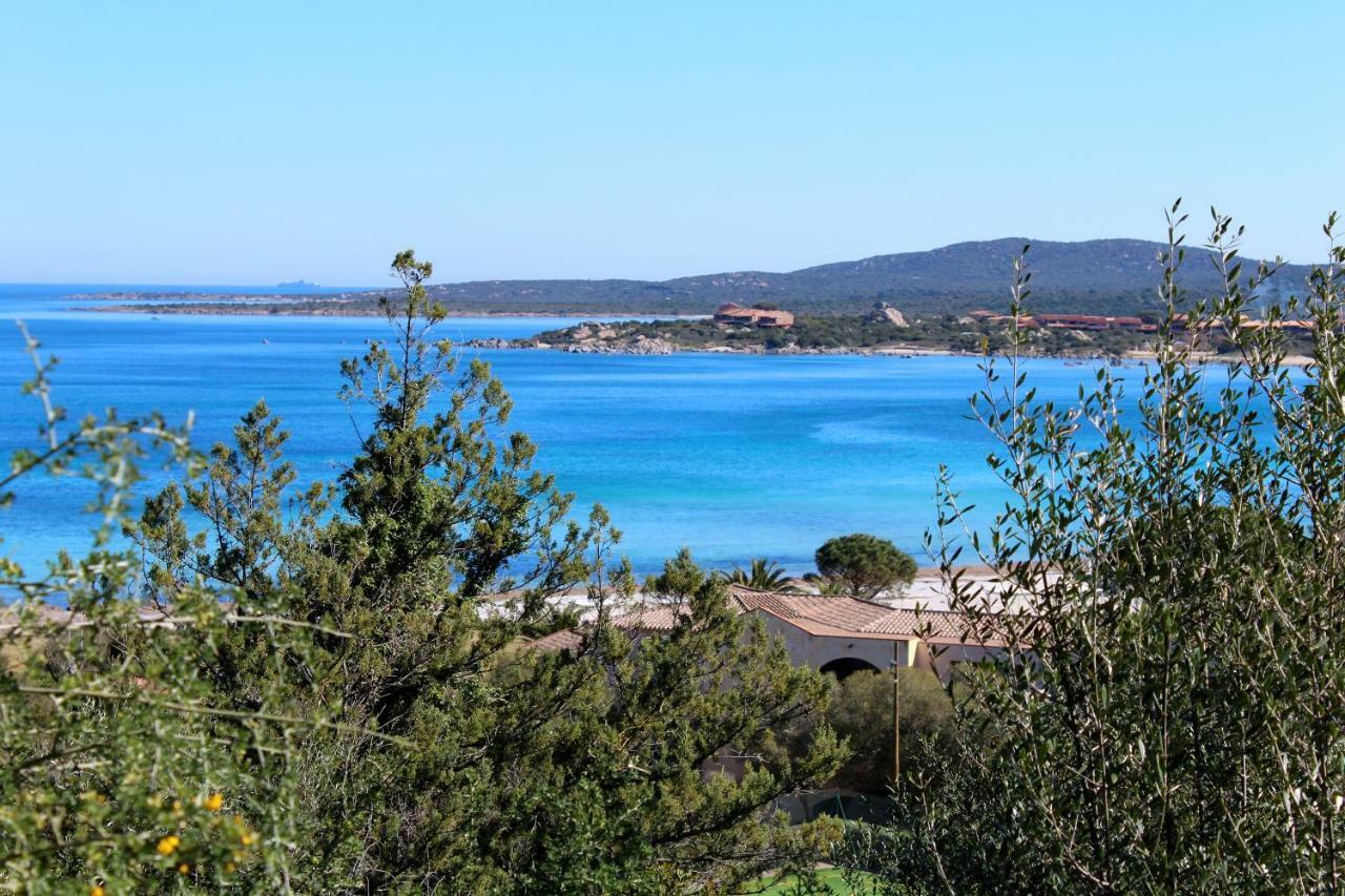 Willa Casa Vacanze Il Cisto - Golfo Di Marinella Porto Rotondo Zewnętrze zdjęcie