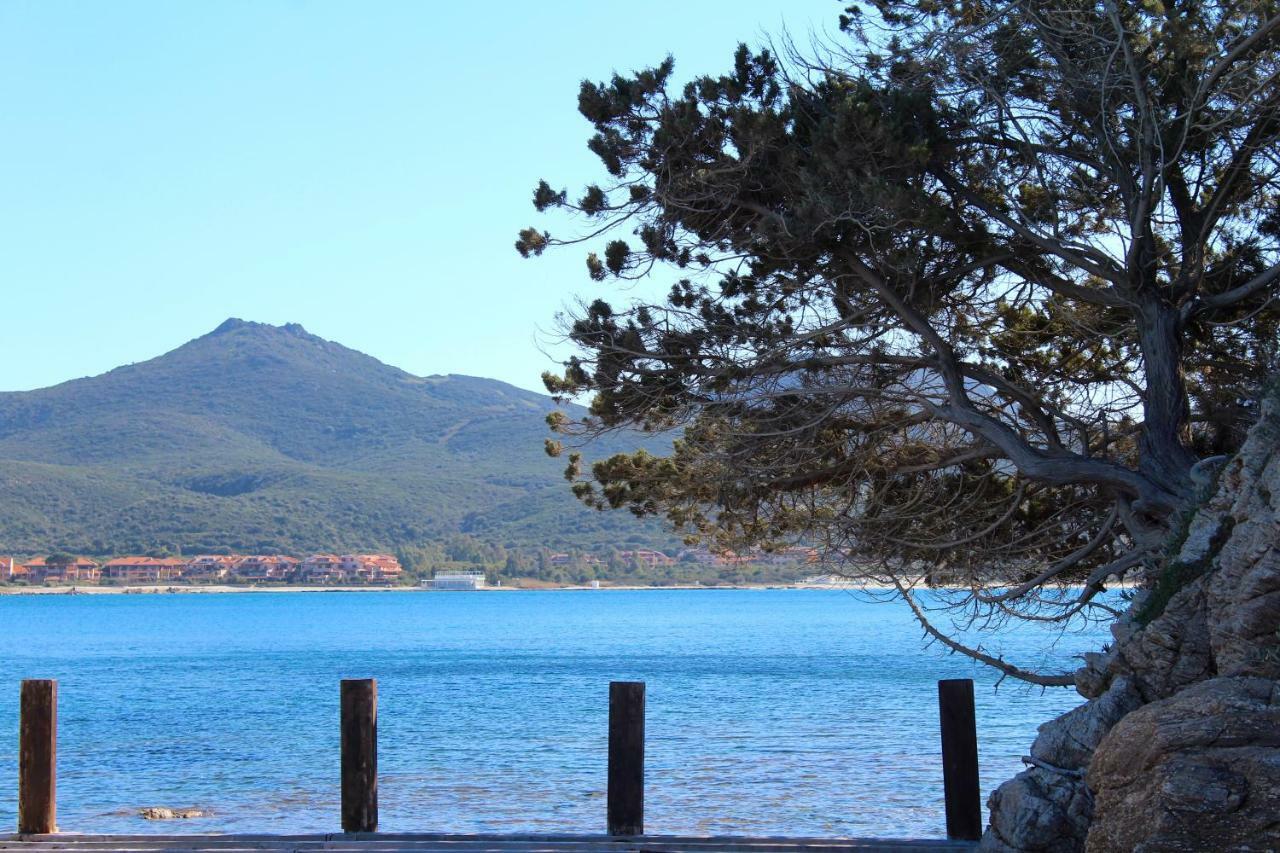 Willa Casa Vacanze Il Cisto - Golfo Di Marinella Porto Rotondo Zewnętrze zdjęcie