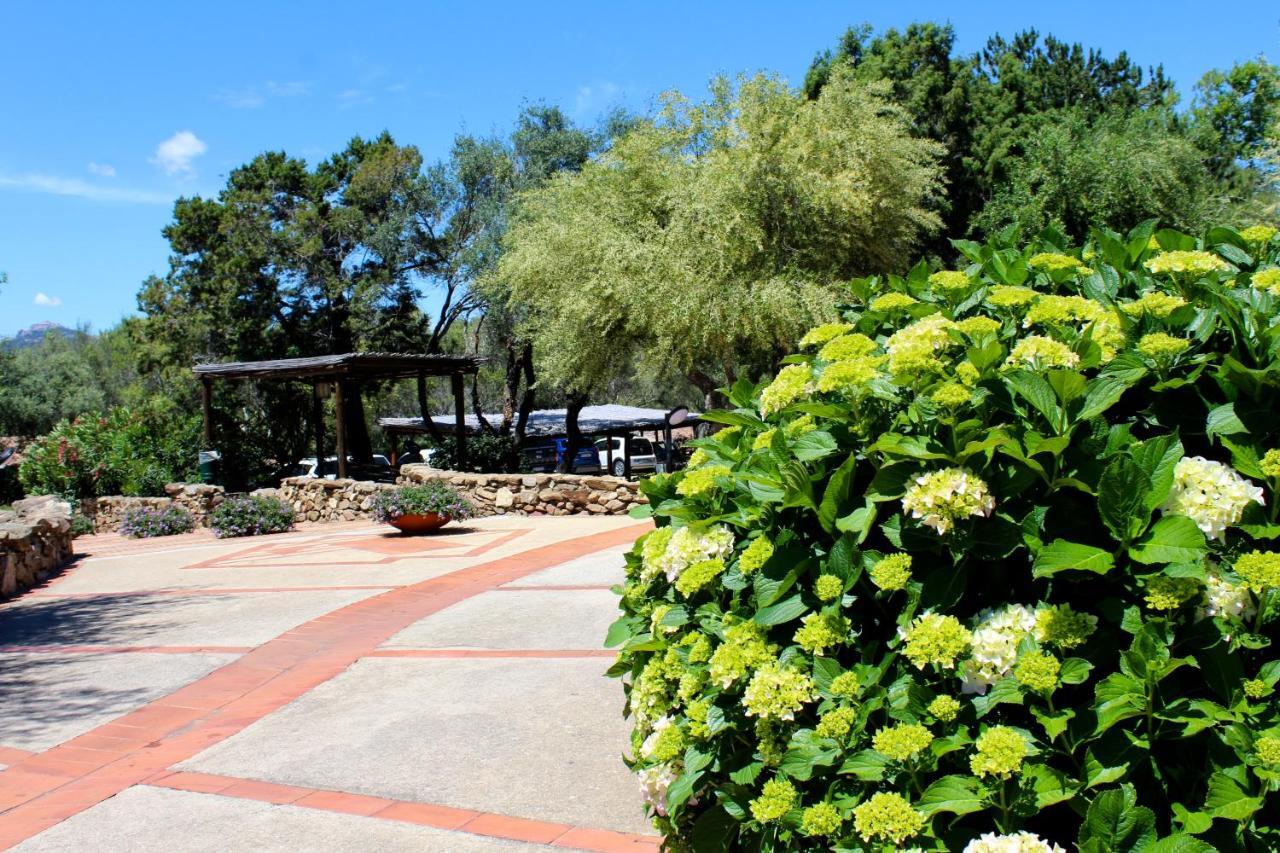Willa Casa Vacanze Il Cisto - Golfo Di Marinella Porto Rotondo Zewnętrze zdjęcie